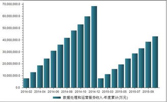 2014-2015年我國數(shù)據(jù)處理與運(yùn)營服務(wù)收入深度解析 數(shù)據(jù)處理服務(wù)篇